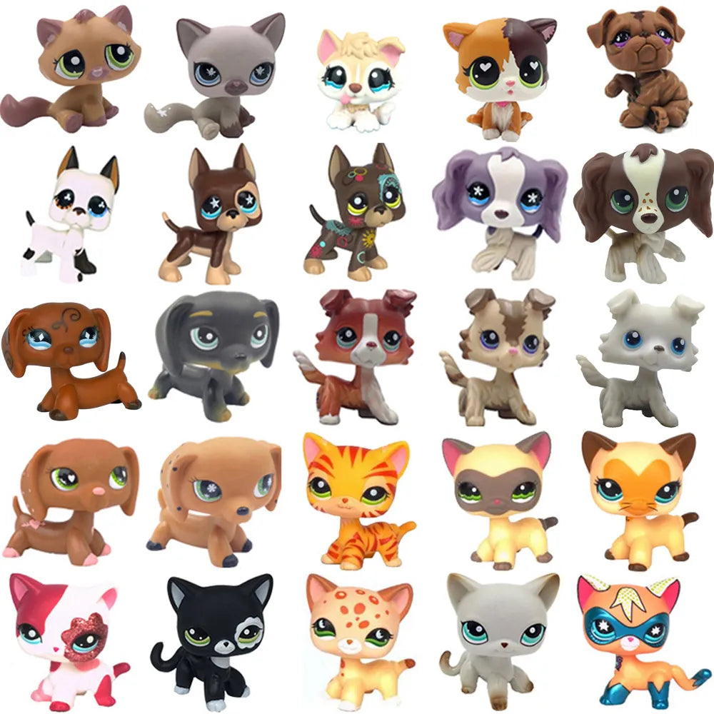 LPS CAT Rare Littlest pet shop